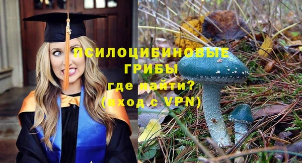 ГАЛЛЮЦИНОГЕННЫЕ ГРИБЫ Нея